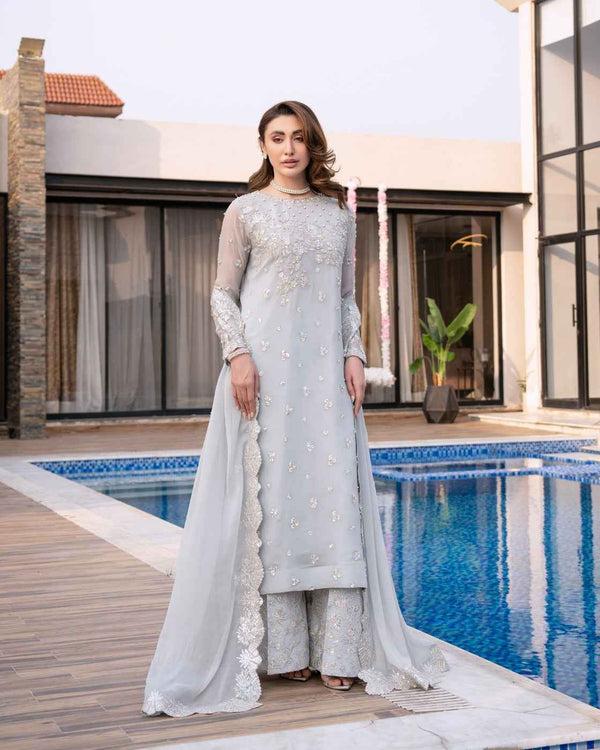 Ice Grey Embroidered Silver Festive Detailing Sold Out