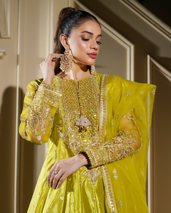 Olive Gold - Eemans Collection