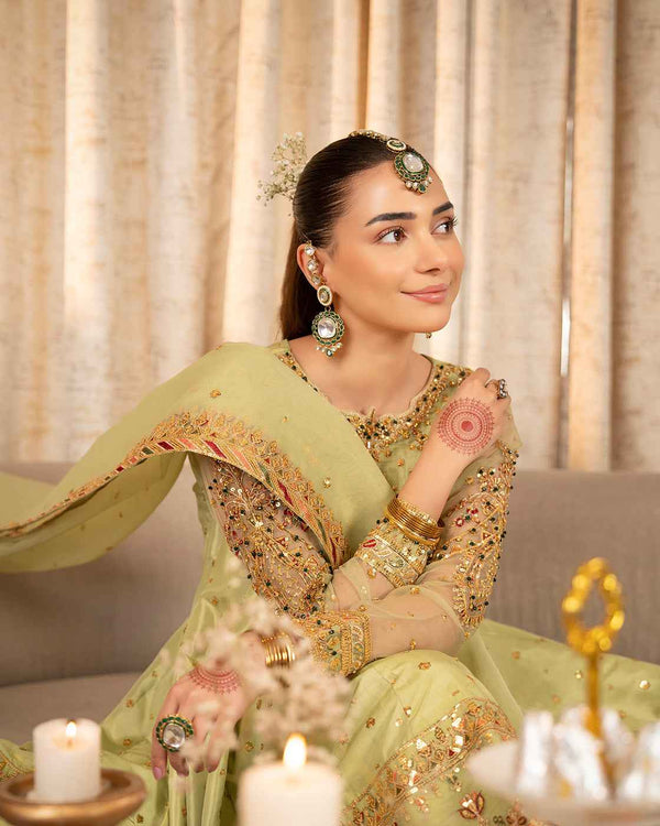 Light Green Embroidered Suit with Gold Festive Detailing