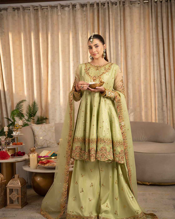 Light Green Embroidered Suit with Gold Festive Detailing